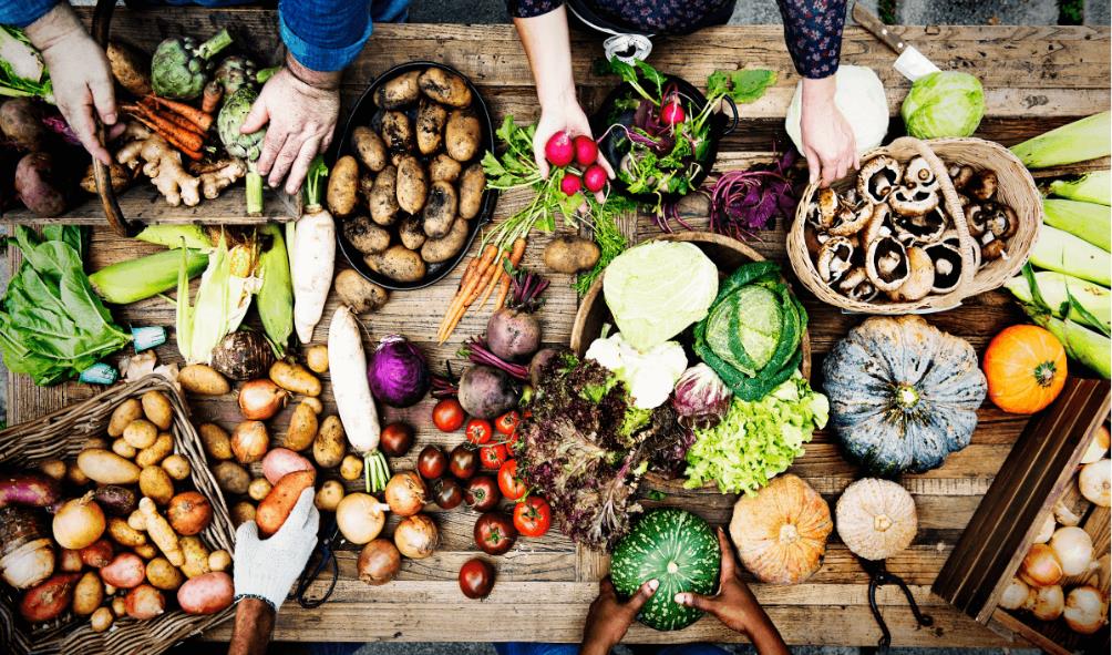 Panama food wellness journey 