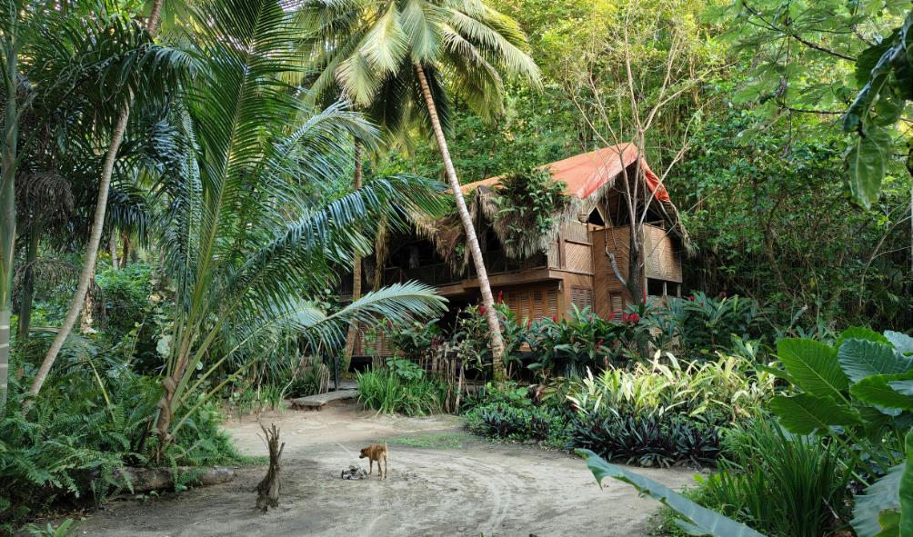 Panama holistic healing 