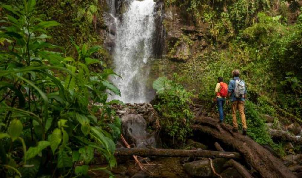 Panama wildlife tours 