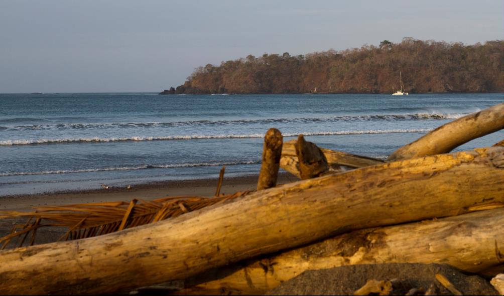 Panama wildlife tours 