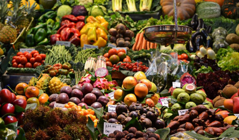 Panama coastal culinary 