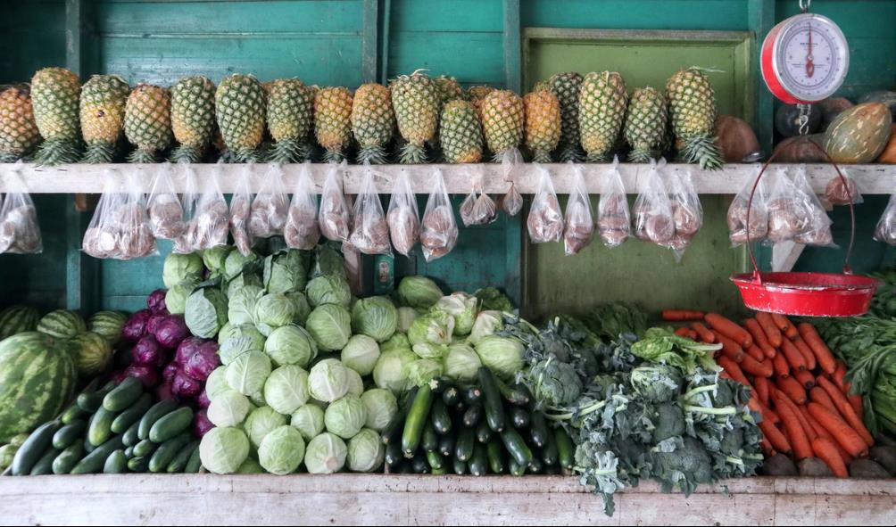 Panama local flavors 