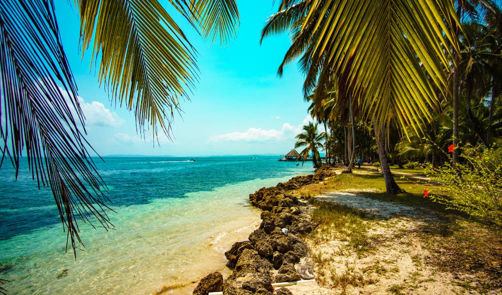 Healing power of Panama 