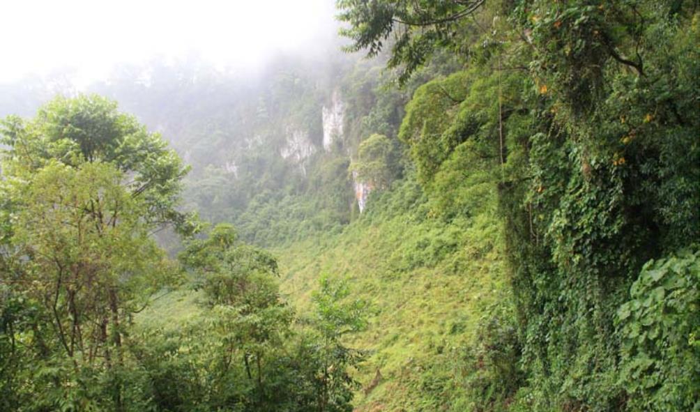 Panama nature healing 