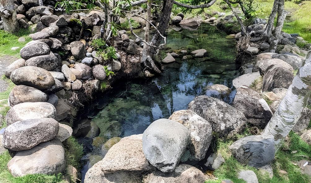 Panama''s natural healing 