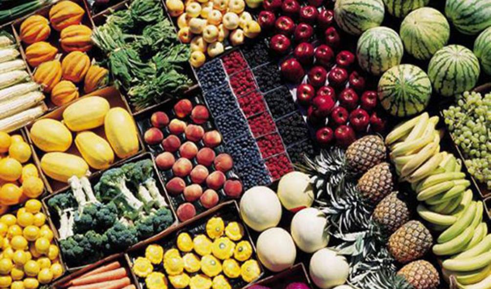 Panama food diversity 