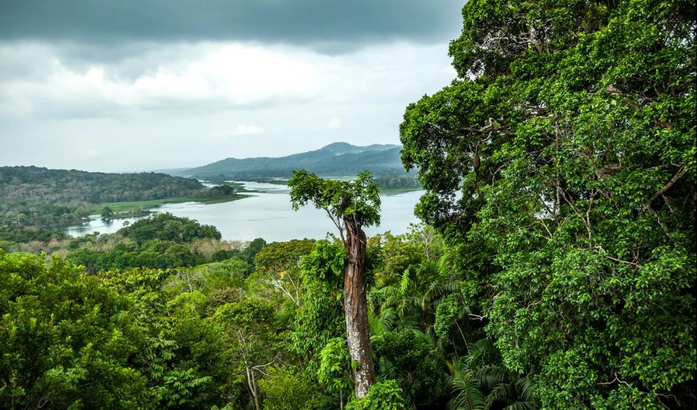 Panama''s healthy living options 