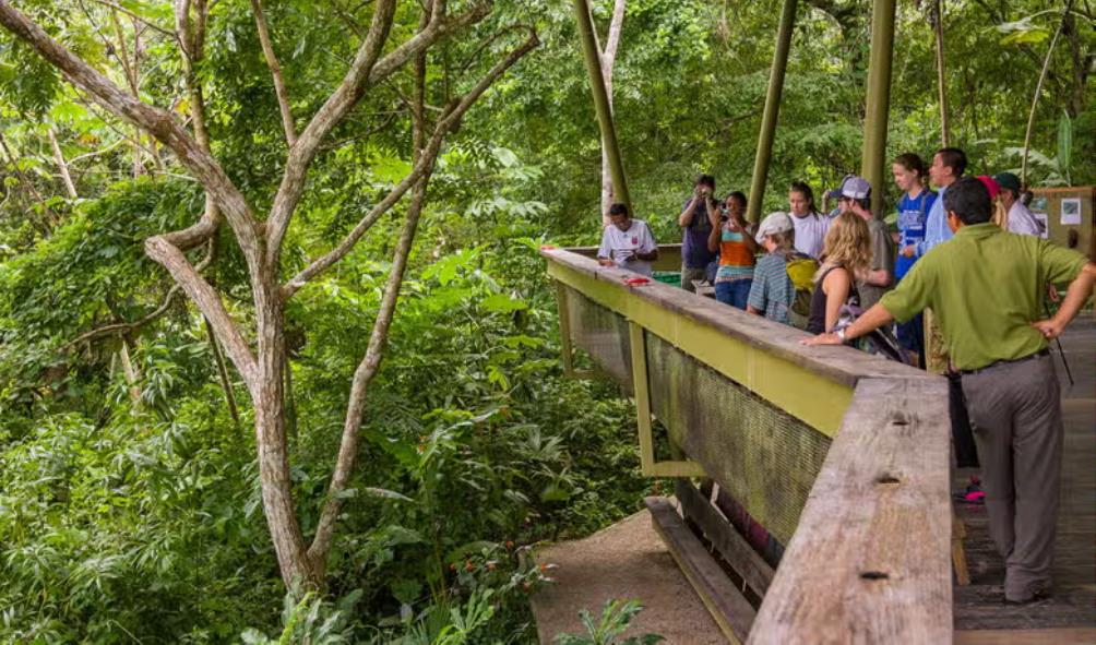 Panama local guides 