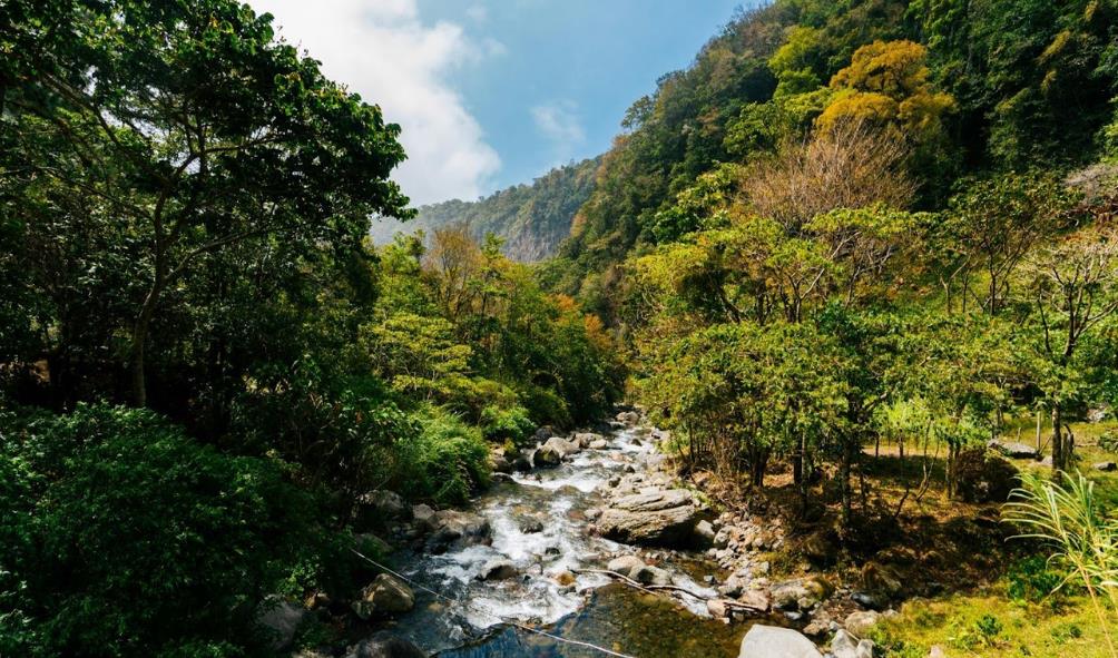 Panama''s nature therapy 