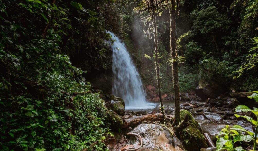 Panama''s nature therapy 