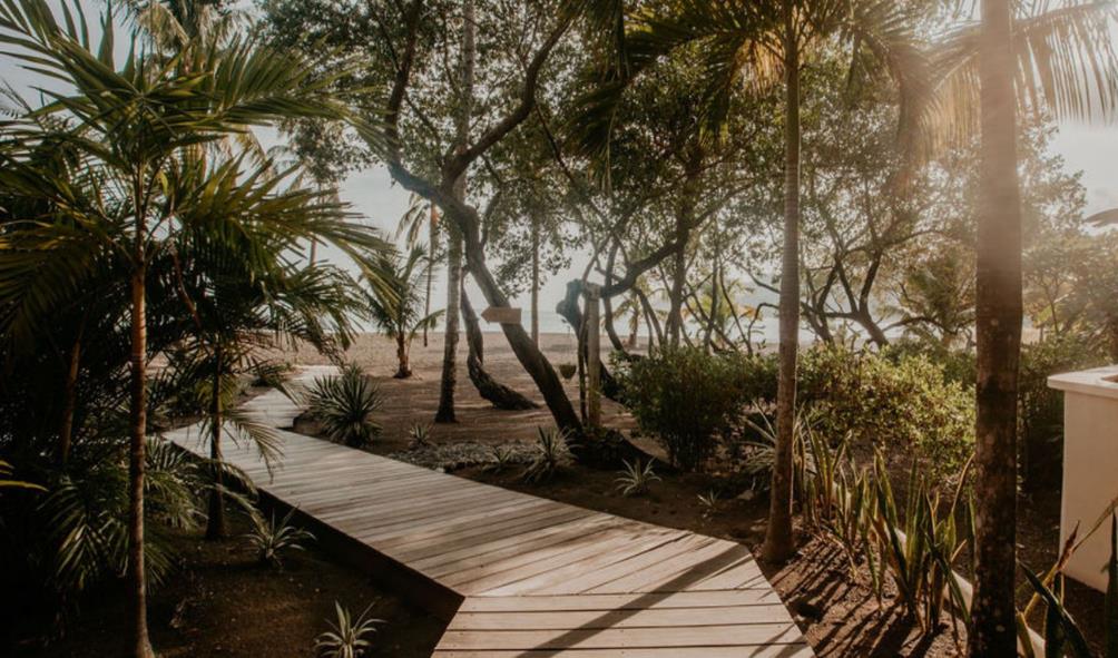 Panama holistic retreats 