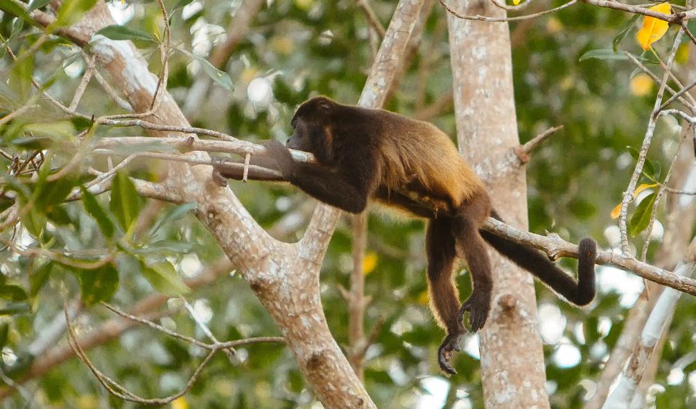 Panama travel stories 