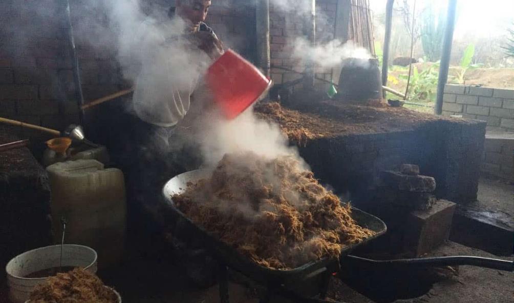 Freshness in Panama food 