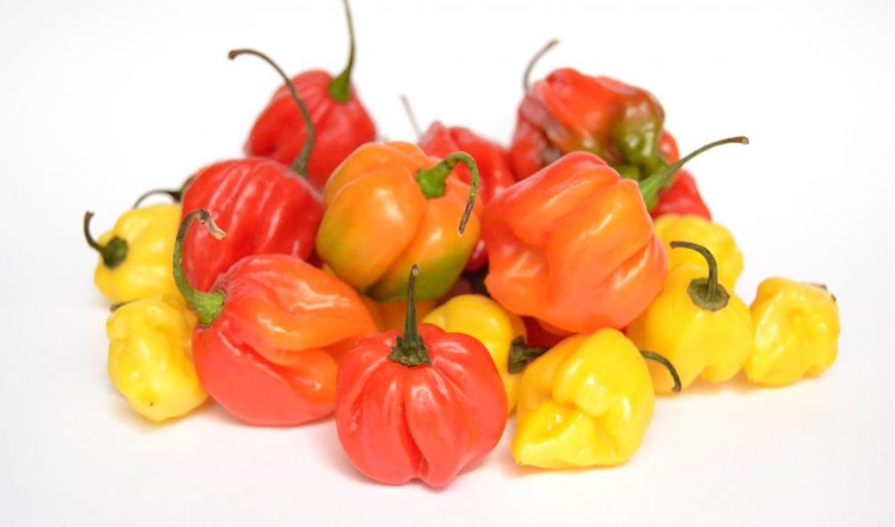 Panama food inspiration 