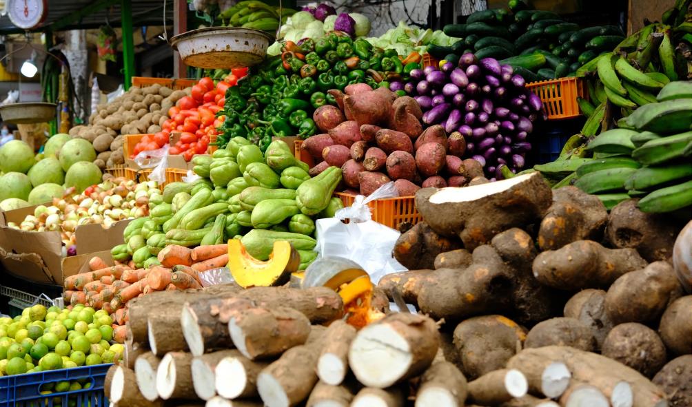Panama food lifestyle 