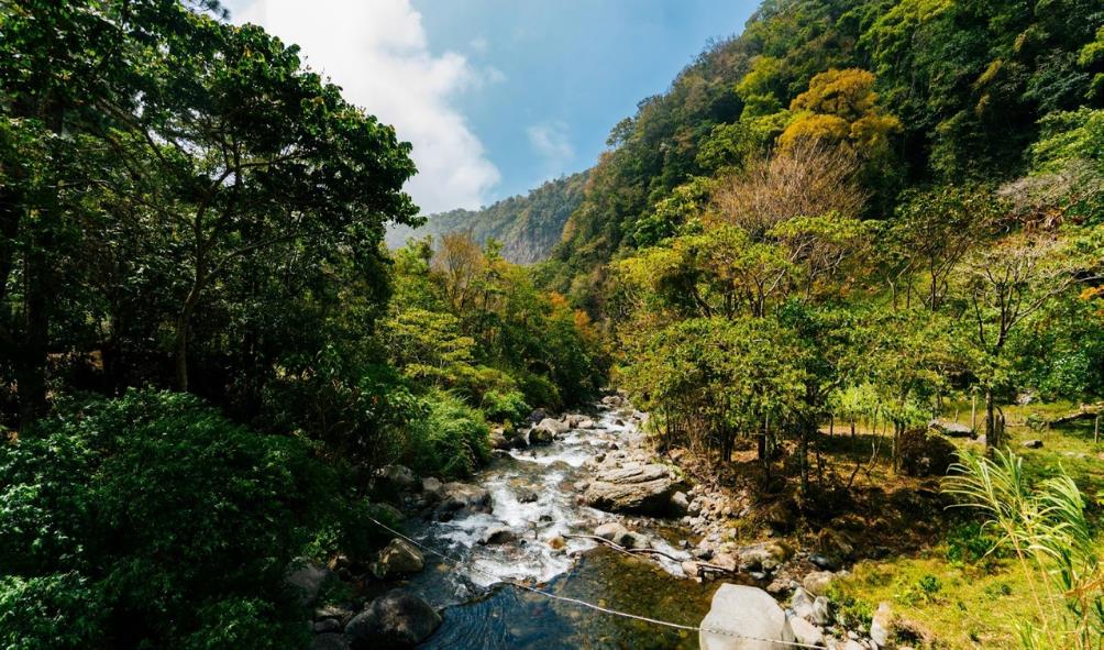 Panama holistic retreats 