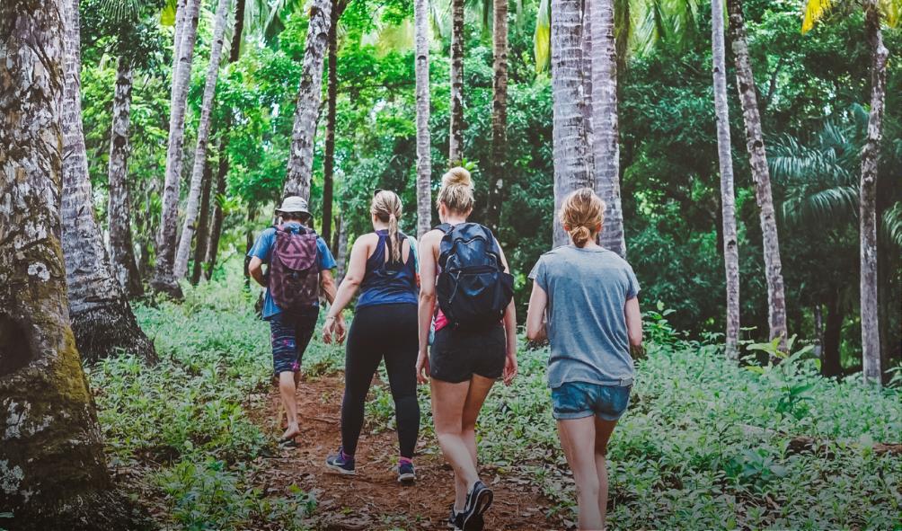 Panama wellness vacations 