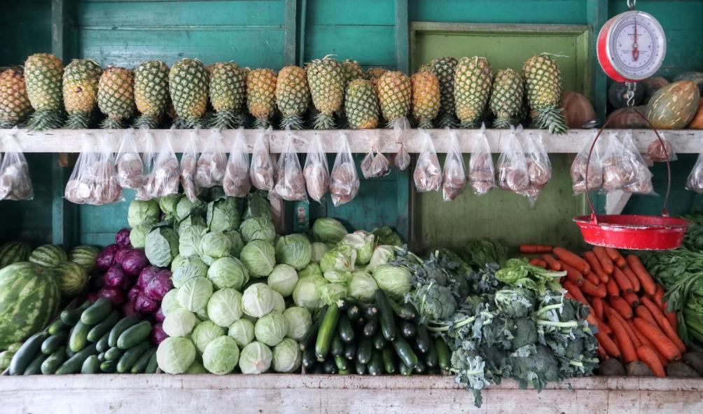 Panama street food 