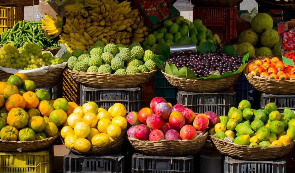 Panama food scene 