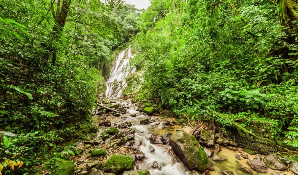 natural reset in Panama 