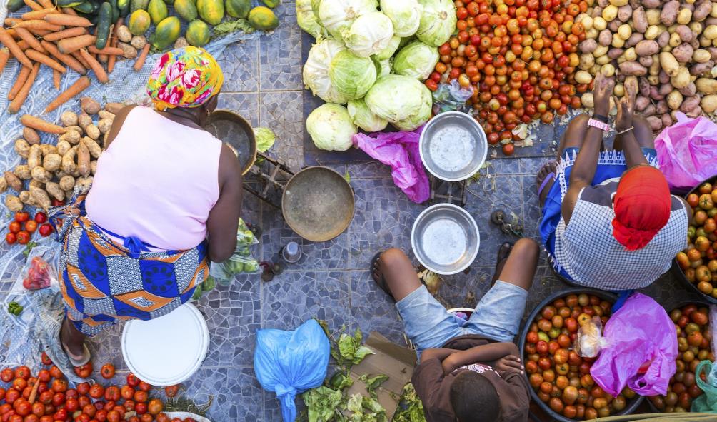 Panamanian food journey 