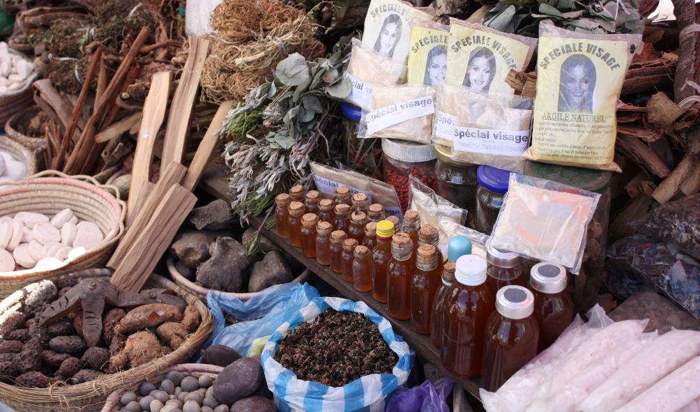 sustainable healing Panama 