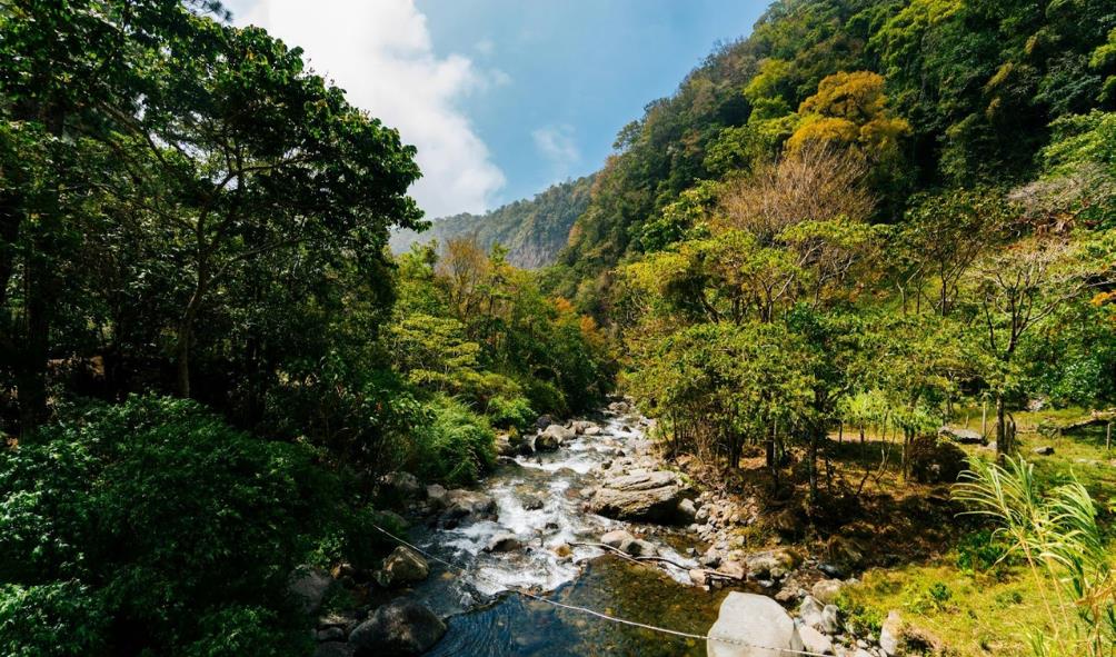 Panama health retreats 