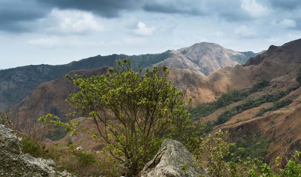 Environmentally conscious living Panama 