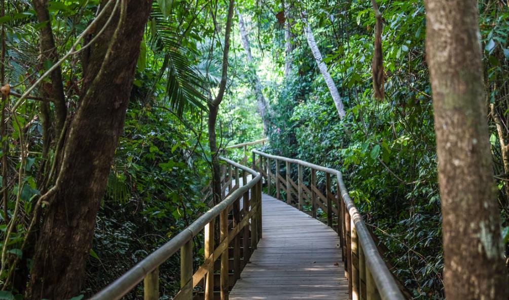 Panama wildlife exploration 