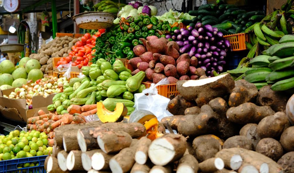 Panama cuisine benefits 