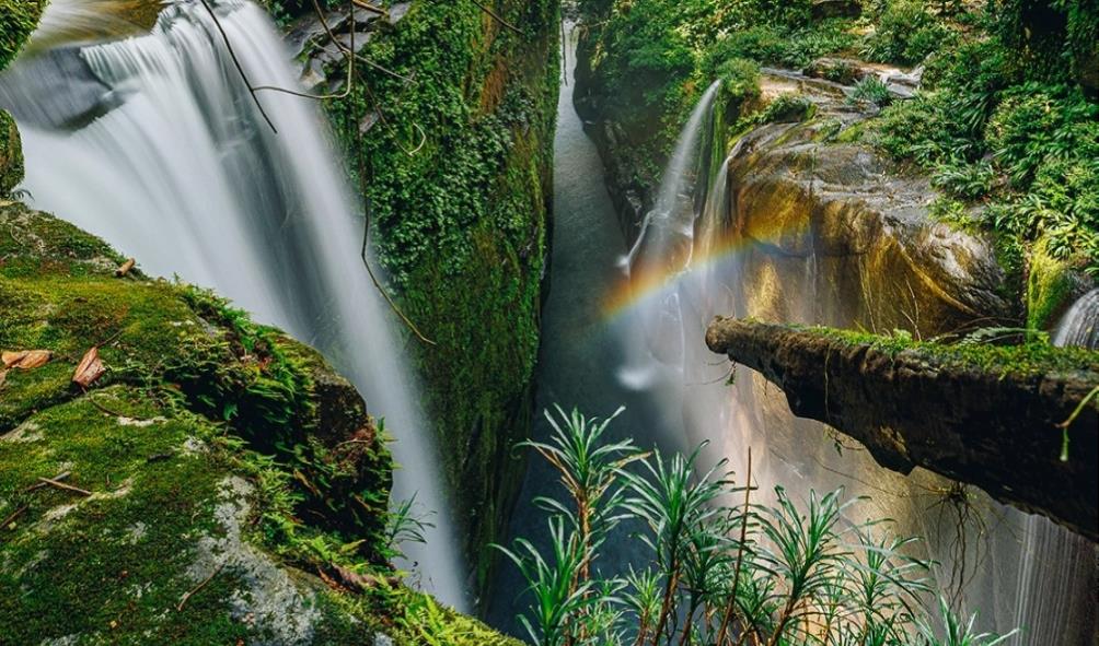 Panama nature and wildlife experiences 