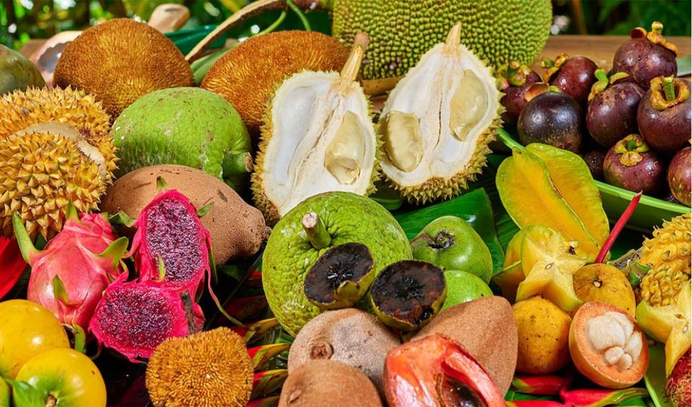 Panama healthy lifestyle 