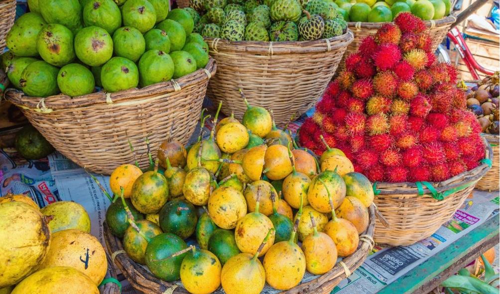 Tropical wellness guide