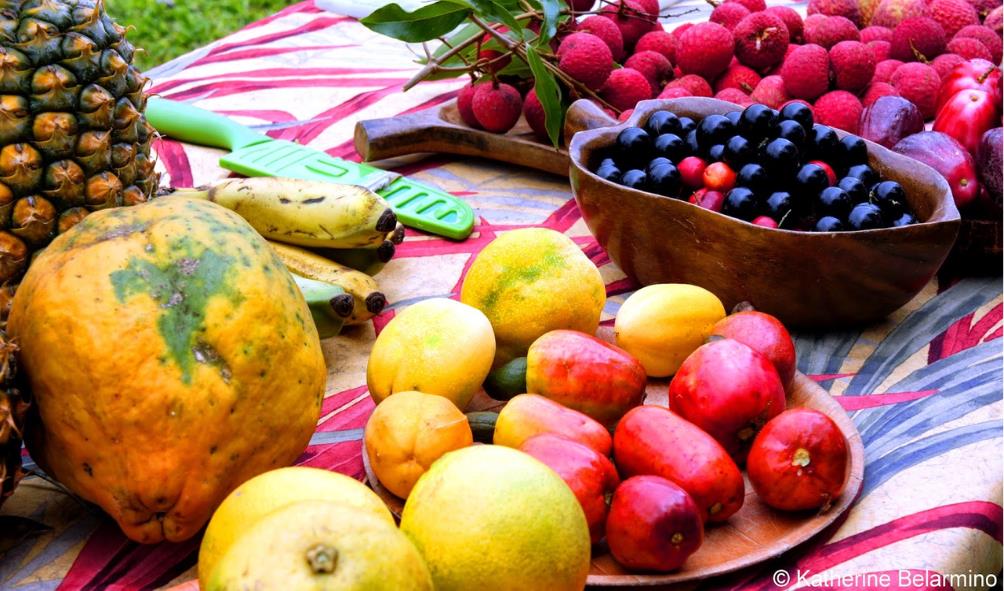 Panama superfoods 
