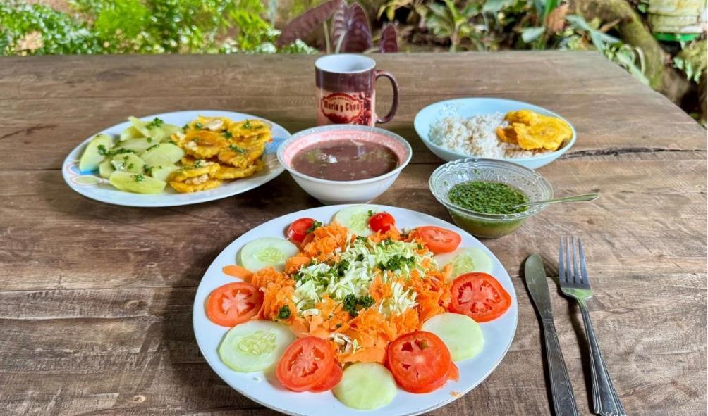 Panama wellness transformation