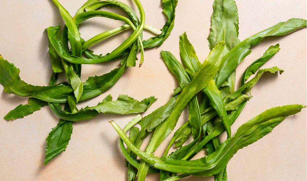 Authentic Panamanian recipes 