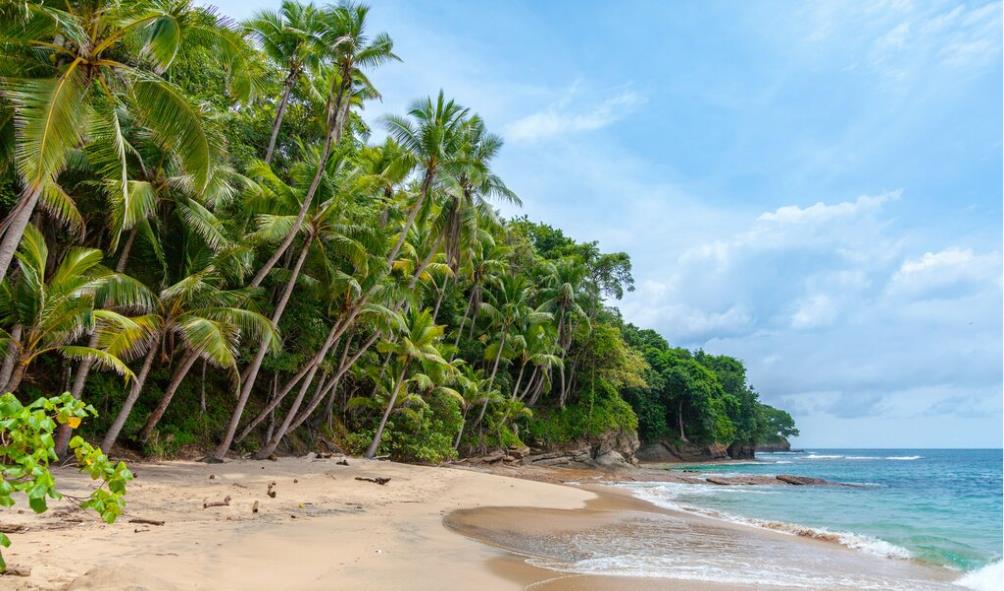 therapeutic effects of ocean living 