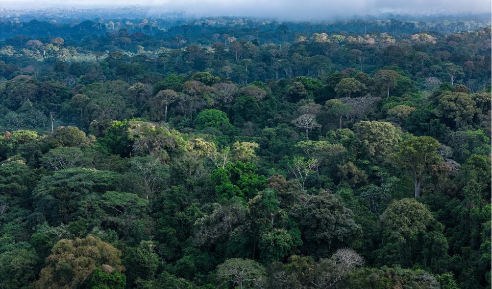 Sustainable travel in Panama 