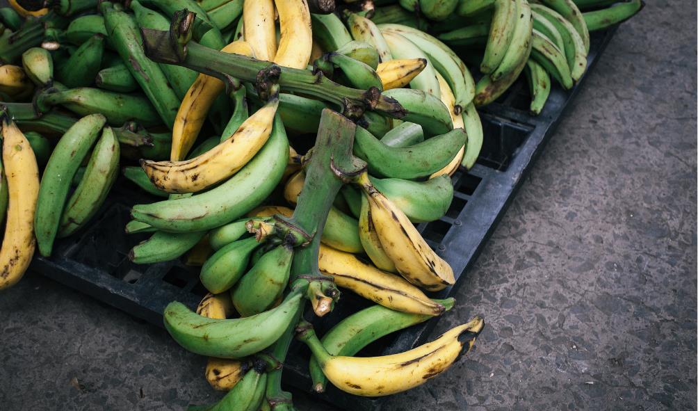 Panama indigenous culinary heritage 