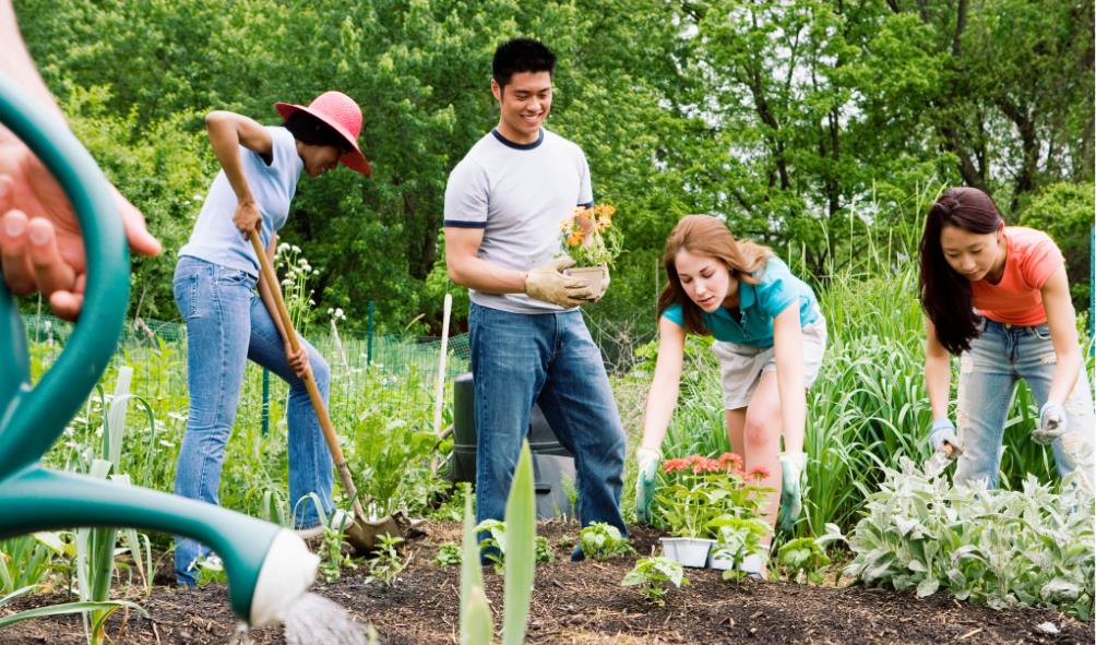 health through nature 