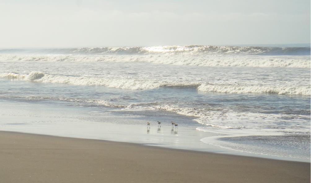 Panama''s serene beach towns 