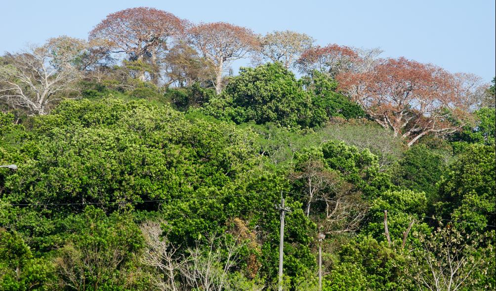 Living harmoniously with biodiversity 