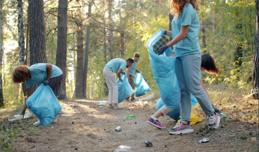 Embracing biodiversity in daily life 