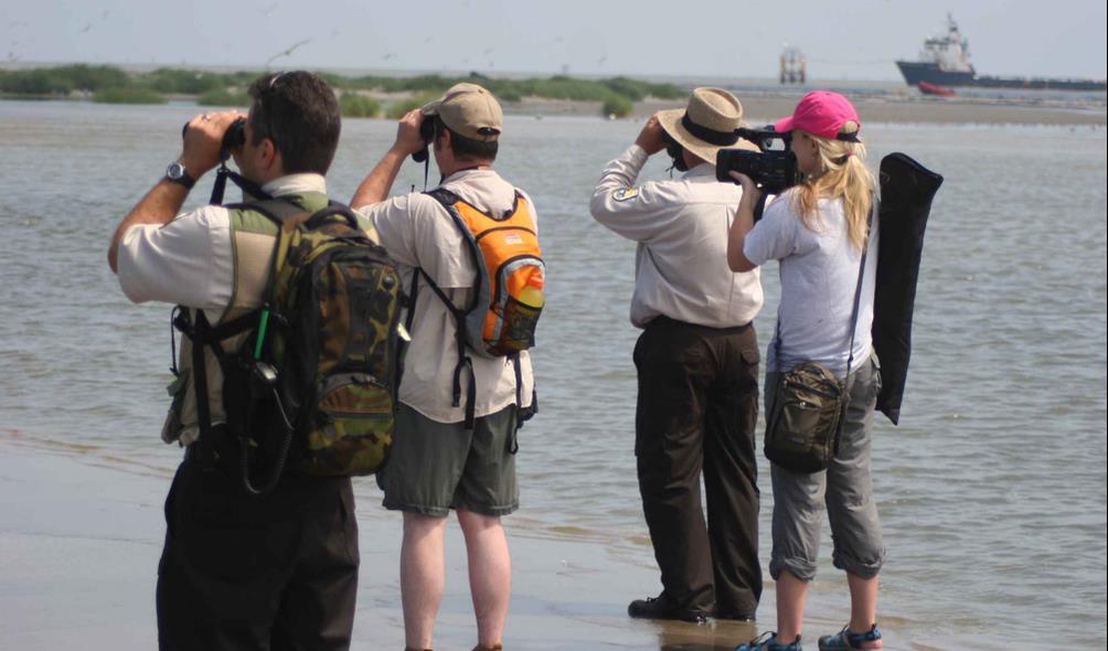 Biodiversity and sustainable living strategies 