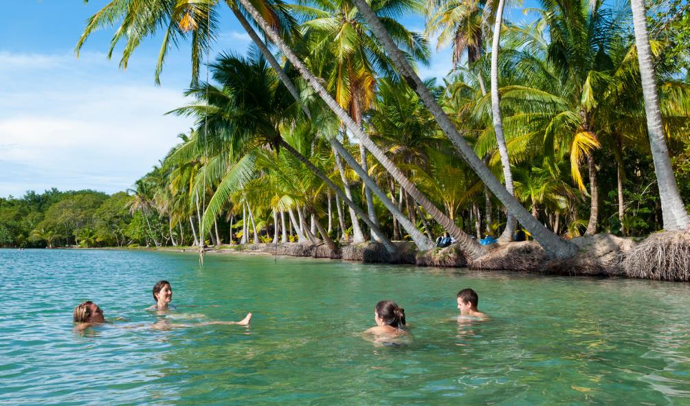 Natural lifestyle in diverse ecosystems