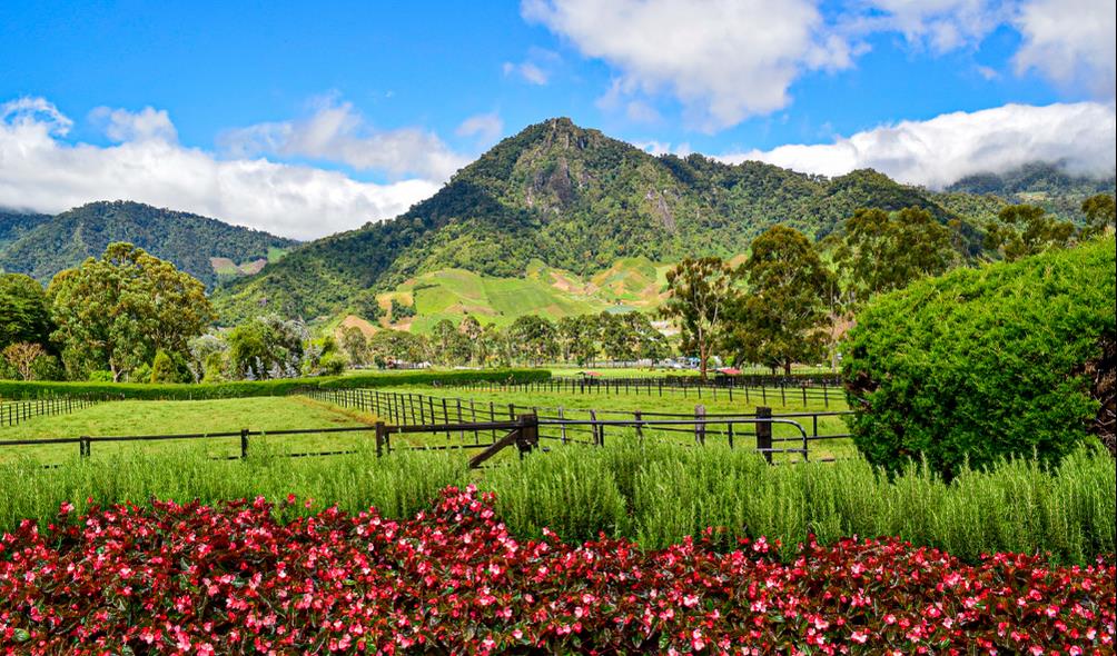 Retreats in Panama mountains 