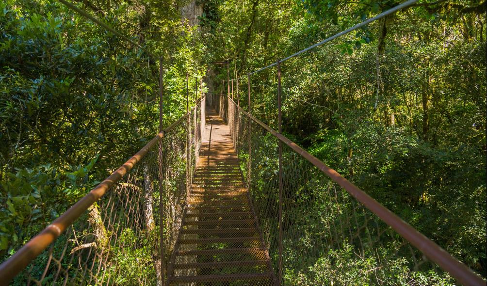 Panama natural wonders 
