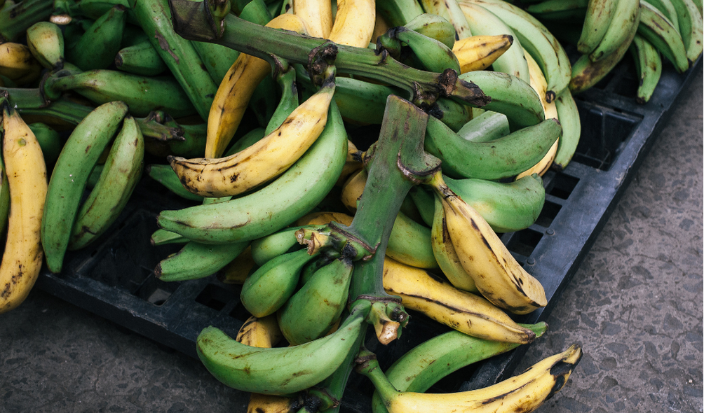 Panamanian plantain main courses 