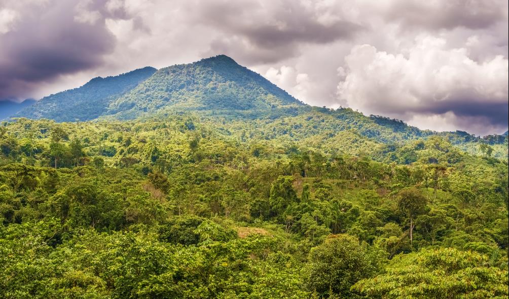 Panama natural wellness 