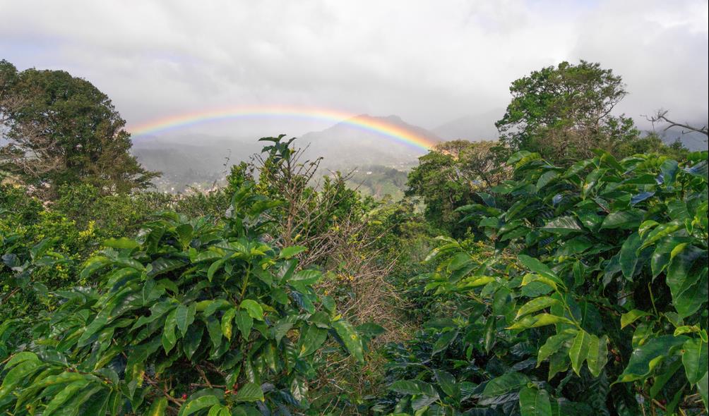 Panama secret escapes 